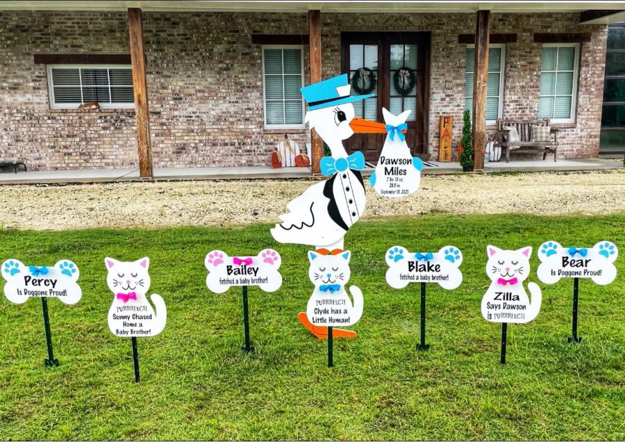 Gallery Birth Announcement Yard Signs in Knoxville, TN