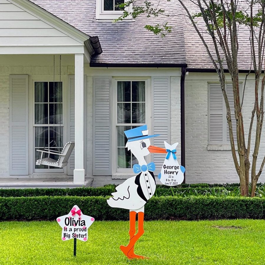 Gallery Birth Announcement Yard Signs in Knoxville, TN